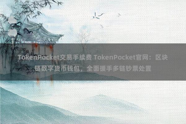 TokenPocket交易手续费 TokenPocket官网：区块链数字货币钱包，全面援手多链钞票处置