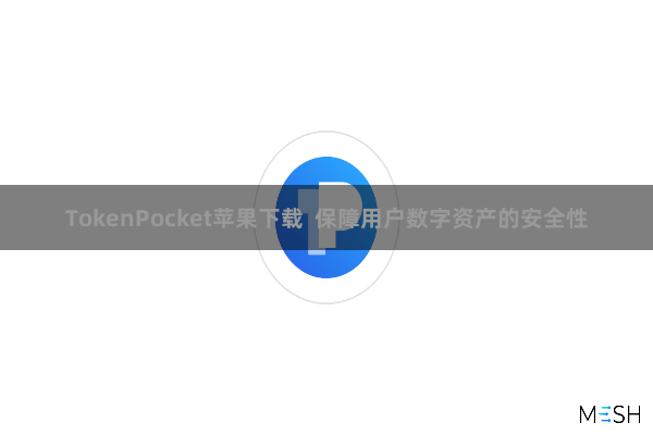 TokenPocket苹果下载  保障用户数字资产的安全性
